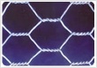 hexagonal wire netting 
