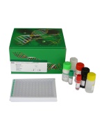 Elisa Kit