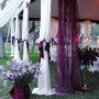 wedding tent