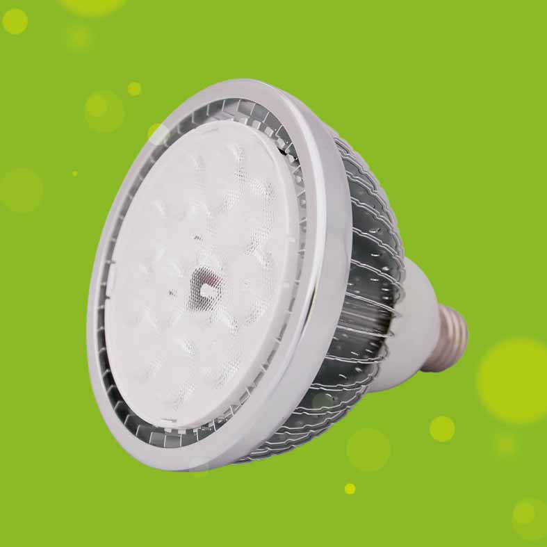 LED spot light,P38