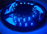 SMD3528 LED Flexible Strip(Blue Color)
