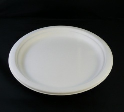 9" round plate