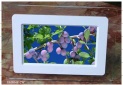 Digital Picture Frames