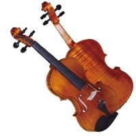 Preliminary violin