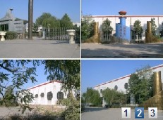 Zibo Haiwei Ceramics Co., Ltd.