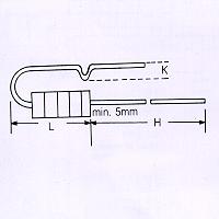 Lian Sheng Electronic Co., Ltd.