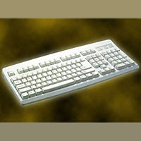 Monterey International Corp.