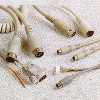 Keyboard Cable
