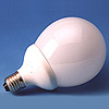 Compact Fluorescent Lamp