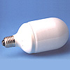 Compact Fluorescent Lamp