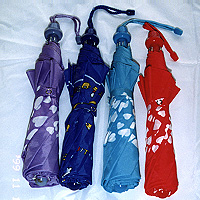 Fashion Plus Accessories Inc.