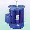 AC Induction Motor