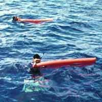 PacificLink International (Taiwan) Co., Ltd.