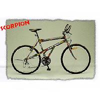 Asia Bicycle Trading Company