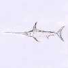 Xiphias Gladius Linnaeus, Swordfish