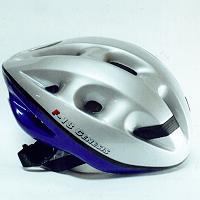 Prowell Helmets