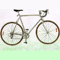 Top Image International Inc.