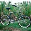 Cruiser 26" Shimano Alivio MC14