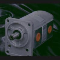 Honor Gear Pumps Corp.
