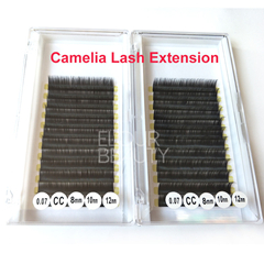 Wholesale soft light weight volume camelia eyelash extensions supplier
