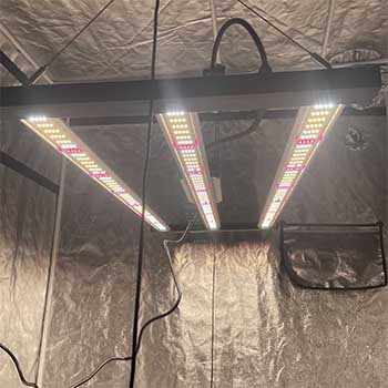 Applications:  1.Greenhouse, Indoor Vertical Farm, Grow Room, Horticulture, Grow Tent      2.Medical plants, Vegetable, Flowers, Crops, Fruits, Leafy greens, pot culture, bonsai      3.Seedlings, nursery, vegetative stage, blooming, yield fruit, harvest