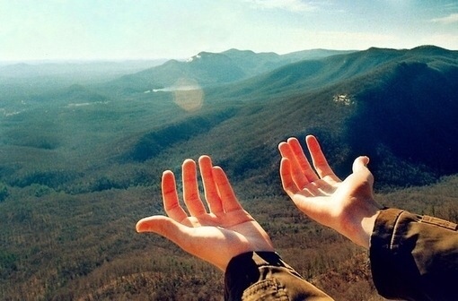 ShenZhen Head Weblink Co.,LTD