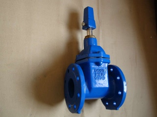 BS5163 Resilient Seated NRS GATE VALVE