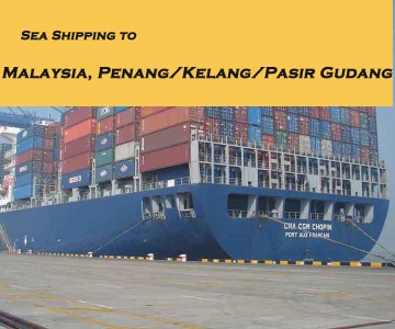 customs broker, Sea freight, Ocean freight forwarder