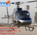 The little squirrel AS350 B3