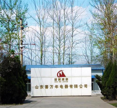 Shandong Xiwannian Electrical Co.,ltd
