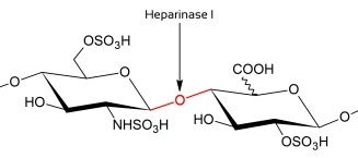 Heparinase I
