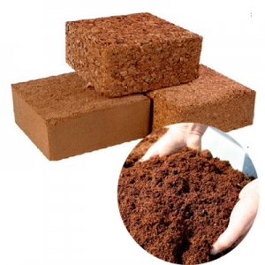 Characteristics: Dark yellow, light, spongy, used as a base for growing plants