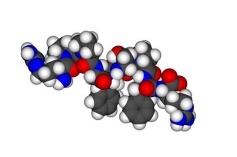 Amyloid beta-Protein (Human, 1-42)