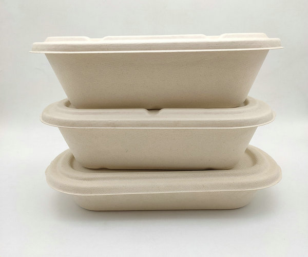 natural bagasse food container 850/1000ml with lid