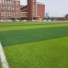 Mixed Green 12000D 50mm Football Lawn Seed Soccer Artificial Grass Turf