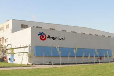 Angel Yeast Co., Ltd