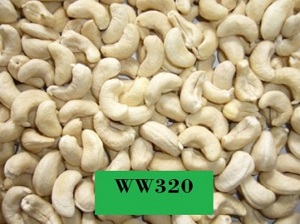 Cashew nuts W320, Origin: Viet Nam