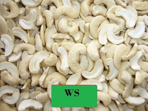 Cashew nuts WS
