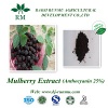 mulberry extract anthocyanidins 25%