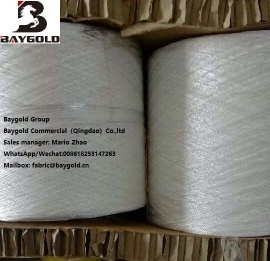 Nylon 6 Filament Yarn Tire Cord Fabric Chafer Fabric Liner Fabric