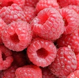 Raspberry juice concentrate