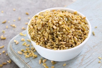 Dried Freekeh for export