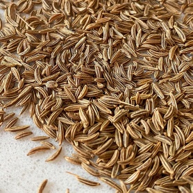 caraway for export