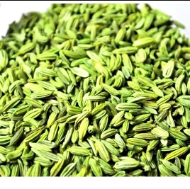 fennel for export