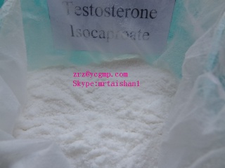 Testosterone Isocaproate (Steroids)