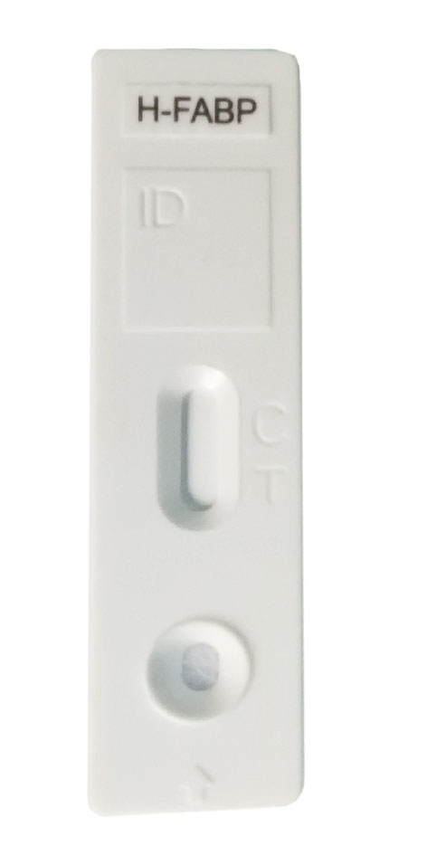 H-FABP