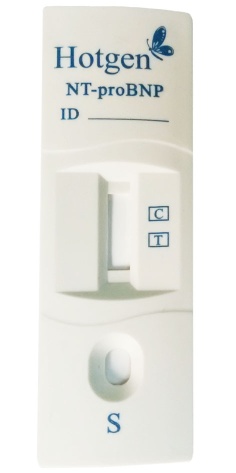 Hotgen Nt-Probnp Rapid Test Semi-Quantitative Cassette
