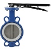 PTFE-LINED-WAFER-BUTTERFLY-VALVE
