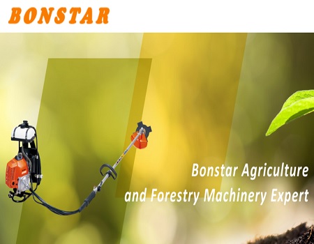 Bonstar International Trading Limited