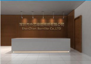 SHENZHEN BORNLITE CO., LTD.